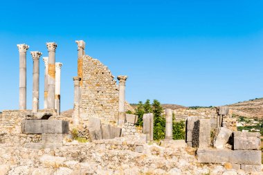 Antik eski Roma kentinin kalıntıları Volubilis, Unesco, Meknes, Fas