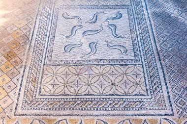 Roma kalıntıları Volubilis, Unesco, Meknes, Fas içinde güzel antik mozaik