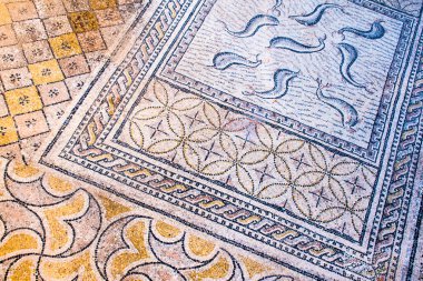 Roma kalıntıları Volubilis, Unesco, Meknes, Fas içinde güzel antik mozaik