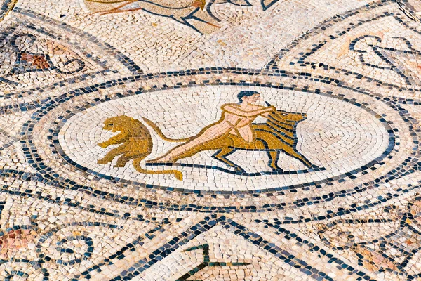 Gyönyörű régi mozaik római romjai Volubilis, Unesco, Meknes, Marokkó — Stock Fotó