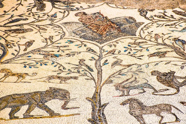 Beautiful Ancient Mosaic in Roman ruins of Volubilis, Unesco, Meknes, Morocco — Stock Photo, Image