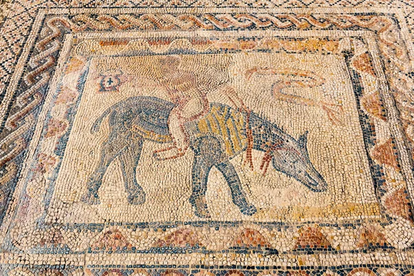 Beautiful Ancient Mosaic in Roman ruins of Volubilis, Unesco, Meknes, Morocco — Stock Photo, Image