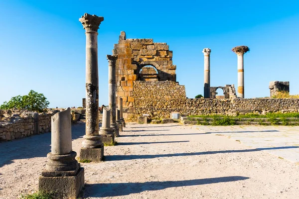 Ruïnes in de oude oude Romeinse stad Volubilis, Unesco, Meknes, Marokko — Stockfoto