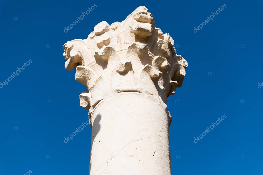 Ruins of the roman city of Volubilis, UNESCO world heritage site Meknes, Morocco