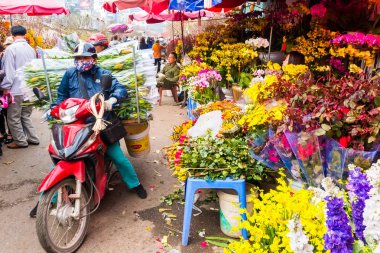 Hanoi, Vietnam - 14 Şubat: Tanımlanamayan çiçek satıcı Hanoi, Vietnam için üzerinde 14 Şubat 2018 Quang Ba çiçek Market