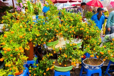 Hanoi, Vietnam - 14 Şubat: Tanımlanamayan çiçek satıcı Hanoi, Vietnam için üzerinde 14 Şubat 2018 Quang Ba çiçek Market