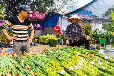 Hanoi, Vietnam - 14 Şubat: Tanımlanamayan çiçek satıcı Hanoi, Vietnam için üzerinde 14 Şubat 2018 Quang Ba çiçek Market