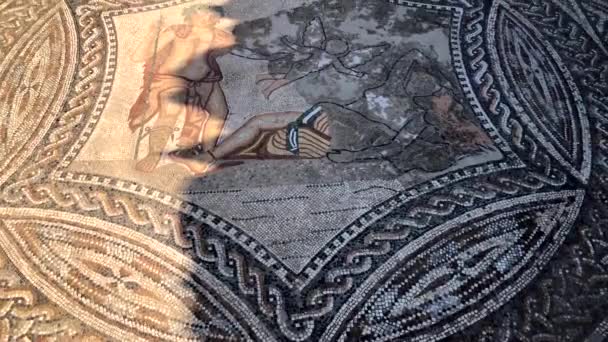 Mosaïque des ruines antiques romaines de la ville de Volubilis à l'UNESCO, Maroc 