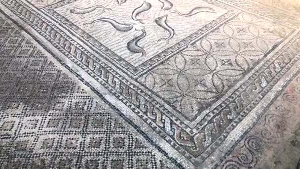 Mosaik der römischen antiken Ruinen der volubilis-Stadt in der Unesco, Marokko — Stockvideo