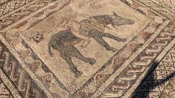 Мозаика Римских Древних Руин Города Волубилис Юнеско Марокко Африке — стоковое видео