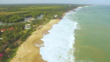 Tropikal kumlu plaj avuç, Tangalle, Sri Lanka hava dron görüntüleri