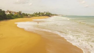 Tropikal kumlu plaj avuç, Tangalle, Sri Lanka hava dron görüntüleri