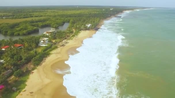 Imágenes aéreas de drones de la playa de arena tropical con palmeras, Tangalle, Sri Lanka — Vídeos de Stock