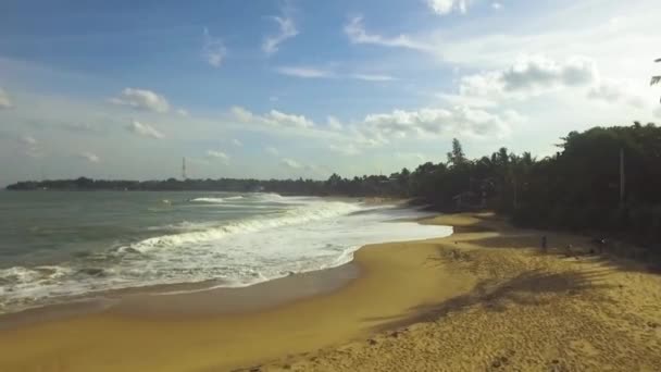 ヤシの木、スリランカ タンガッラ熱帯の砂浜のビーチの映像を空中のむのすき — ストック動画