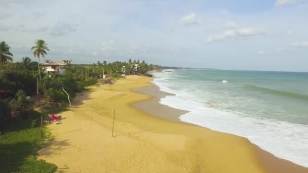 Imágenes aéreas de drones de la playa de arena tropical con palmeras, Tangalle, Sri Lanka — Vídeos de Stock