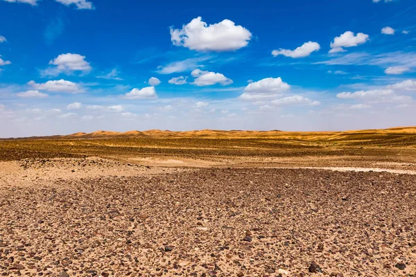 Desierto apedreado negro en Merzouga Sahara cerca de Erg Chebbi, Marruecos, África — Foto de Stock
