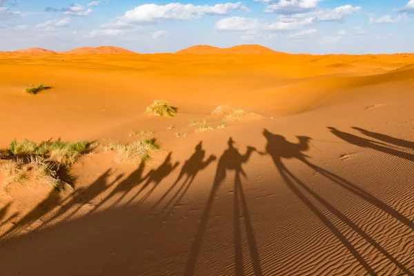 ラクダのキャラバン、Erg Chebbi サハラ砂漠、メルズーガ、モロッコの長い影 — ストック写真