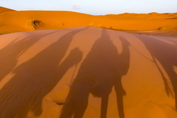 Lunga ombra di carovana di cammello, Erg Chebbi, deserto del Sahara, Merzouga, Marocco — Foto Stock