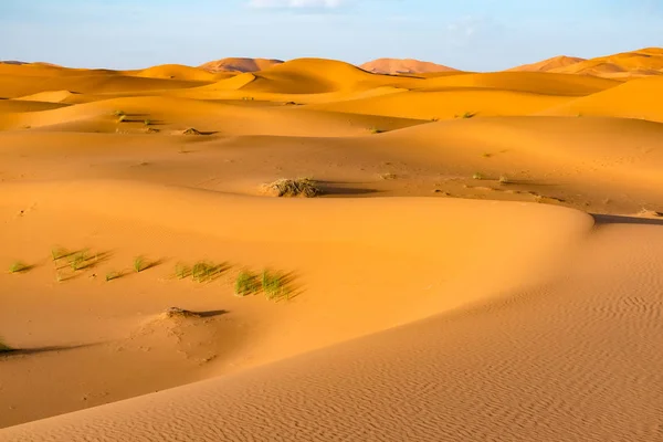 Güzel manzaralı tepeleri Erg African, Sahra Çölü, Merzouga, Fas — Stok fotoğraf