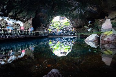 Jameos del Agua güzel mağarada beyaz kör yengeçler, Lanzarote, Kanarya Adaları, İspanya ile