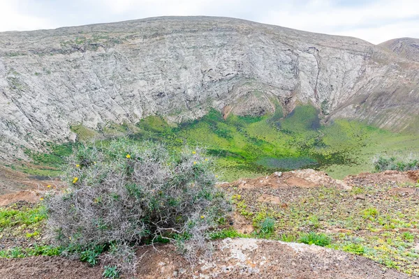 Unieke Vulkanische Landschap Van Groene Krater Van Vulkaan Van Caldera — Stockfoto