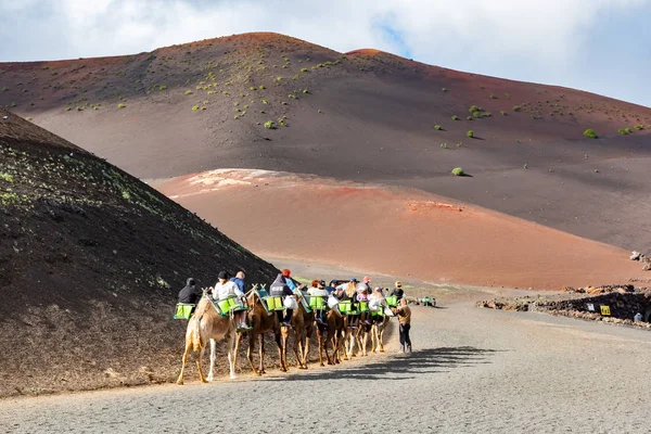 Lanzarote Spanien Dezember 2018 Touristen Unternehmen Kamelritte Berühmten Echadero Camellos — Stockfoto