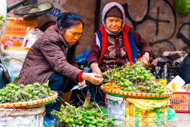 Hanoi, Vietnam - 13 Şubat 2018: Hanoi şehrinin sokak satıcılarının çoğu ürünlerini satmak için bisiklet kullanıyor..