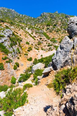 Fas 'ın Rif Dağları' nda, Afrika 'nın Fas şehrinin altında yürüyüş.