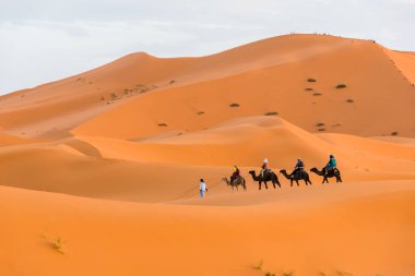 Berber adam önde gelen deve kervan, Merzouga, Sahra Çölü, Fas Afrika