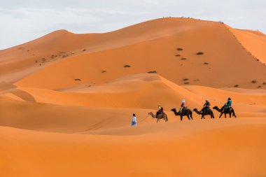 Berber adam önde gelen deve kervan, Merzouga, Sahra Çölü, Fas Afrika