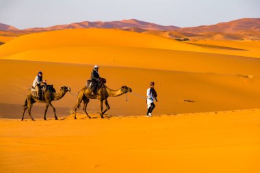 Berber adam önde gelen deve kervan, Merzouga, Sahra Çölü, Fas Afrika