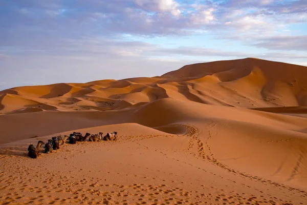 Wunderschöner Farbenfroher Sonnenuntergang Erg Chebbi Dünen Sahara Wüste Merzouga Marokko — Stockfoto