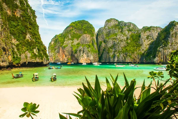 Güzel tropikal Maya Bay Beach ile bitkiler, Koh Phi Phi, Tayland