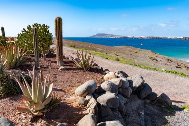 Papagayo Beach Adası Lanzarote, Kanarya Adaları, İspanya kaktüs bahçeli tipik küçük kanarya ev