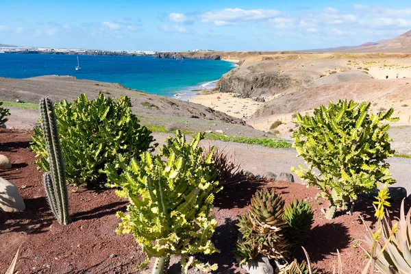 Tipica casetta delle Canarie con giardino di cactus sulla spiaggia di Papagayo sull'isola di Lanzarote, Isole Canarie, Spagna — Foto Stock