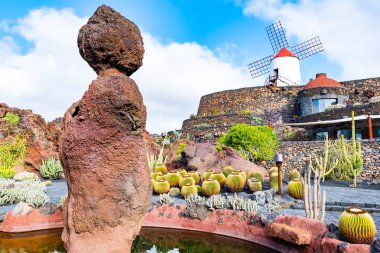 Güzel görünüm kaktüs Garden, Jardin de kaktüs Guatiza, Lanzarote, Kanarya Adaları, İspanya