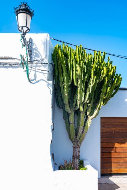 Güzel tipik Beyaz Saray'da çıkıyor kaktüsler ve lamba, Lanzarote, Kanarya Adaları, İspanya