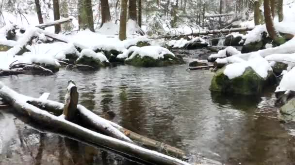 Povestea peisajului de iarnă al cascadelor din râul Bila Opava din Munții Jeseniky, Republica Cehă, video video video video de imagini 4k — Videoclip de stoc