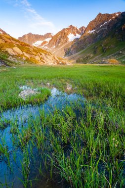 Güzel yaz dağlar Stubai Tyrol Alpler'de yeni Regensburger dağ kulübesini Avusturya manzara.