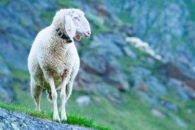 Tirol dağ görüş, Stubai Valley, Tyrol, Avusturya seyir koyun
