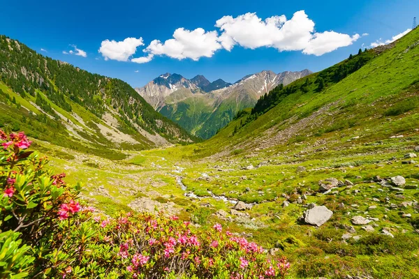 Hermoso paisaje de montañas de verano desde la cumbre de Knotenspitze en Stubai Tirol Alpes cerca de la cabaña de montaña New Regensburger, Austria — Foto de Stock