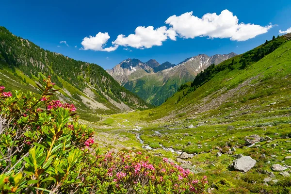 Güzel yaz dağlar Stubai Tyrol Alpler'de yeni Regensburger dağ kulübesini Avusturya manzara.
