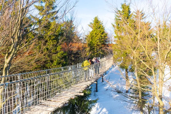 Pustevny República Checa Febrero 2019 Turistas Indefinidos Observando Naturaleza Caminando — Foto de Stock