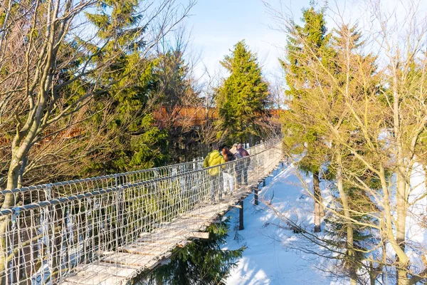 Pustevny Repubblica Ceca Febbraio 2019 Turisti Indefiniti Che Osservano Natura — Foto Stock