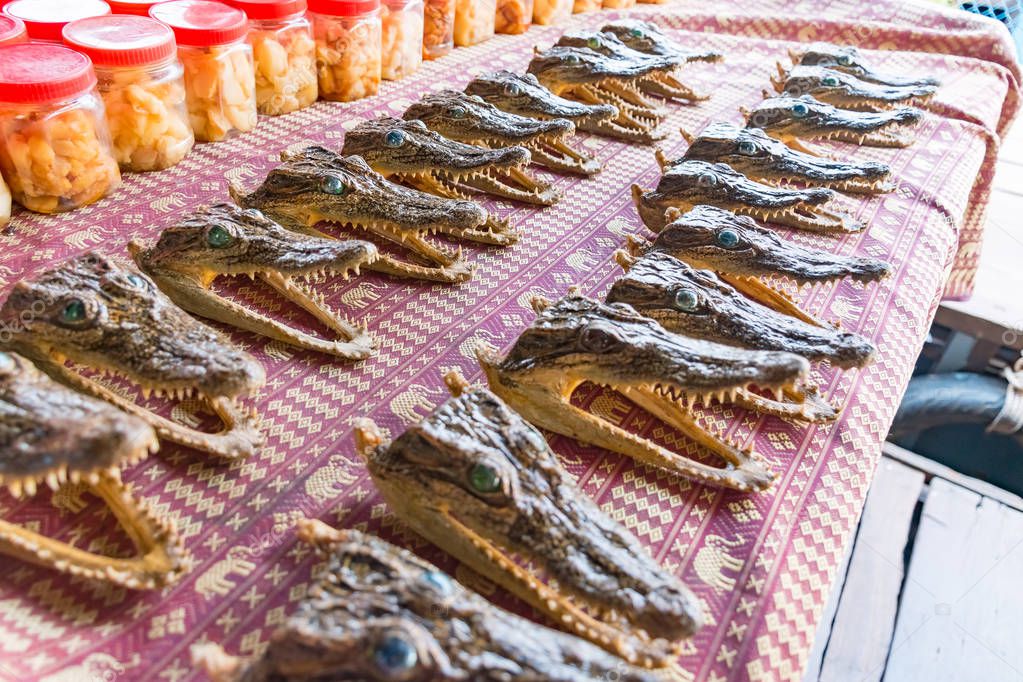 Crocodiles at a farm at the floating village at Tonle Sap Lake in Unesco, Siem Reap, Cambodia