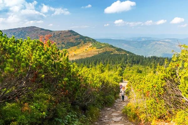 Vista de Babia Gora ou Babi Hora, o cume mais alto das montanhas Beskids na Polônia e na Eslováquia — Fotografia de Stock