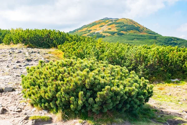 View from Babia Gora or Babi Hora, the highest summit in Beskids mountains in Poland and Slovakia border — Stock Photo, Image