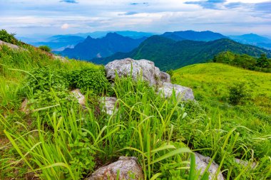 Manzara olay yerinden en yüksek dağı ve sis, Chiang Rai, Tayland yakın Phu Chi fa