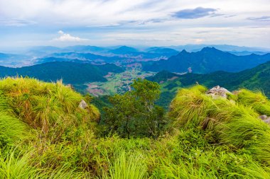 Manzara olay yerinden en yüksek dağı ve sis, Chiang Rai, Tayland yakın Phu Chi fa