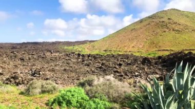 Yeşil bitkiler ve lav alanı yakın turistik yol volkana Caldera Blanca, Lanzarote, Kanarya Adaları, İspanya, 4 k görüntüleri video iz